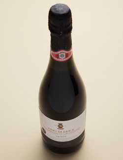 VINO DI ERICE 「Chiarli1860 LAMBRUSCO」イタリアワイン