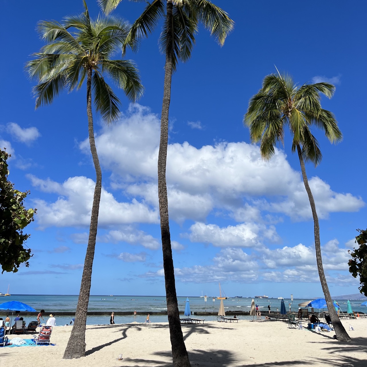 Hawaii ビーチ ローカル