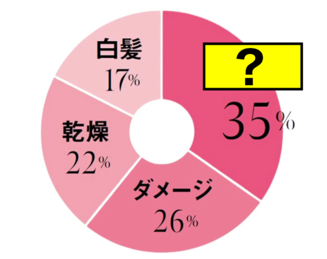 平均年齢は43.2歳・美STトップ読者23名に調査！「髪のいちばんの悩み」は？