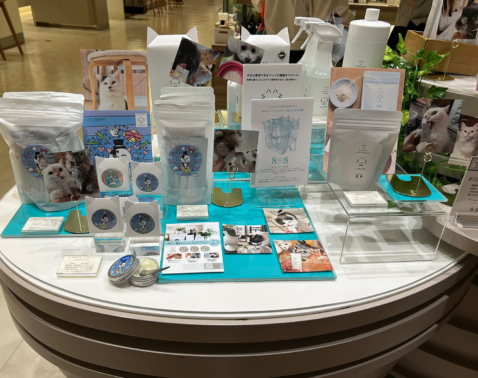 【8月12日まで】買い物するだけで保護猫支援につながるチャリティーPOP UPが開催中！