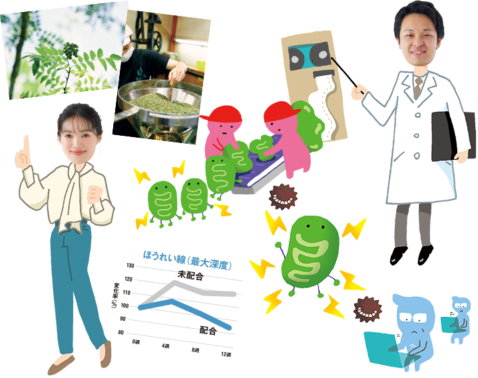 “自ら回復する美肌”は細胞から。再春館製薬所の「ミトコンドリア新生」の研究がスゴイ！