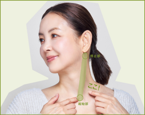 老化で伸びた顔を短縮！胸鎖乳突筋をゆるめて「劇的小顔」に