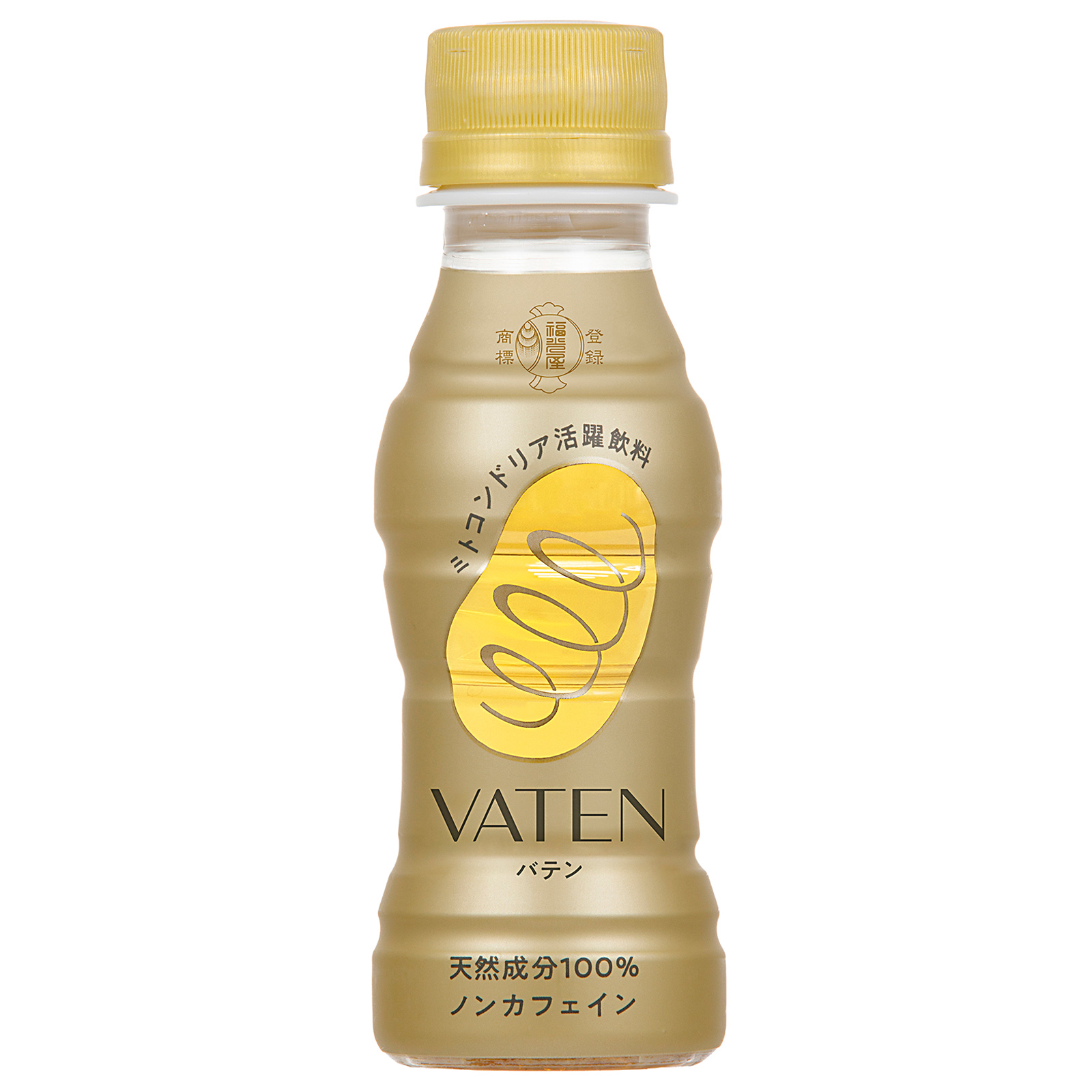 福光屋 VATEN