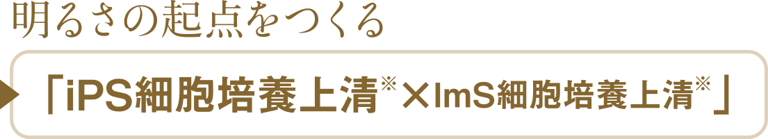 明るさの起点をつくる
