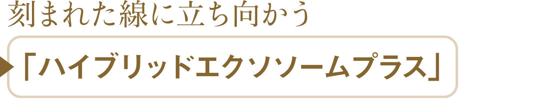 刻まれた線に立ち向かう