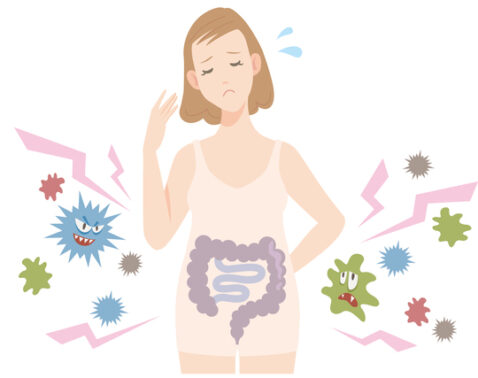 【動脈硬化と腸内環境には意外なかかわりが…】血管を若く保つための腸活5選［医師監修］