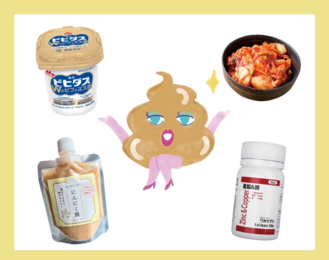 乳酸菌とビフィズス菌の違いは？大人の腸活に必要な理由と上手な摂り方